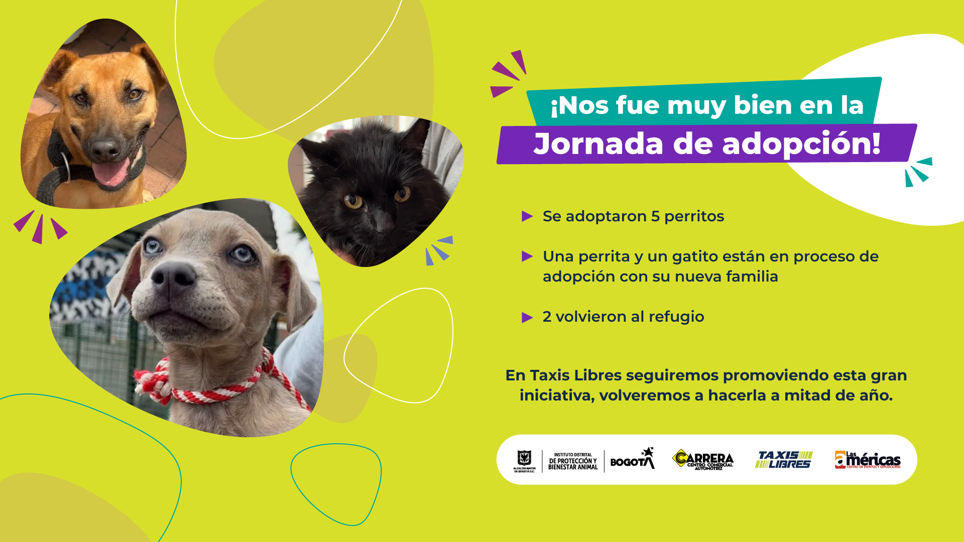 noticia-185-1.png